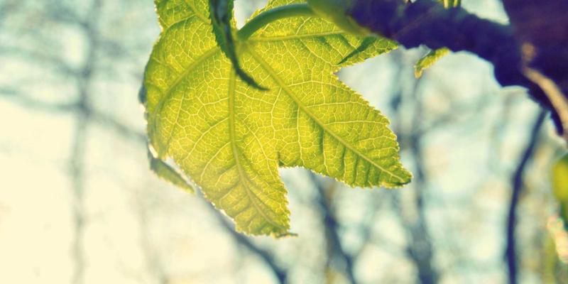 从入门到精通：影视制作全流程解析，掌握视频制作与广告制作的核心技巧