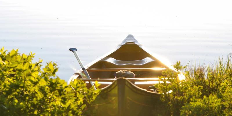 从短片到电影:创意内容在影视制作中的核心价值与实践路径