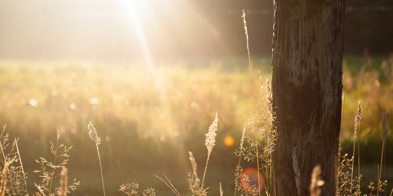 影视制作22：从短片创作到灵感视觉的完整艺术表达