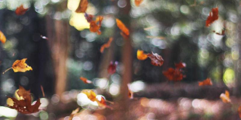 影视制作全流程解析:从创意构思到成片输出的完整指南