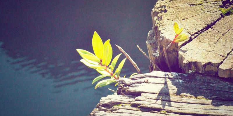 独立电影制作的低成本高效策略：从剧本创意到发行的全流程实战指南