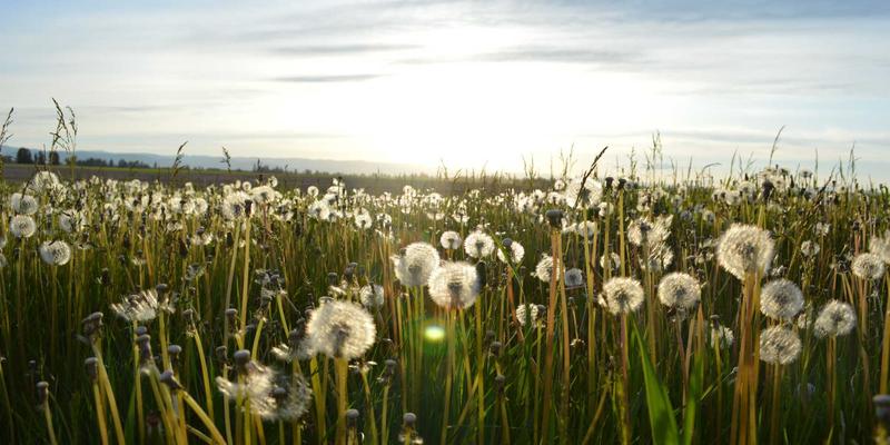 电影制作进阶指南：如何通过环境音、拟音与空间声学为短片营造沉浸感