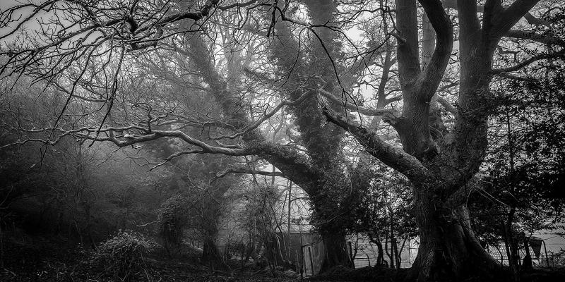 视觉叙事的隐形引擎：如何通过声音设计打造沉浸式短片体验