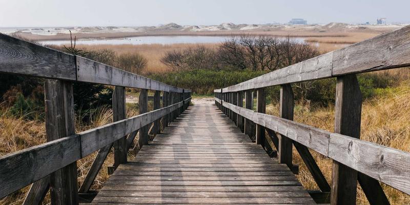 赛博朋克浪潮下的视觉叙事革命：影视制作的新前景与视频制作技术的未来