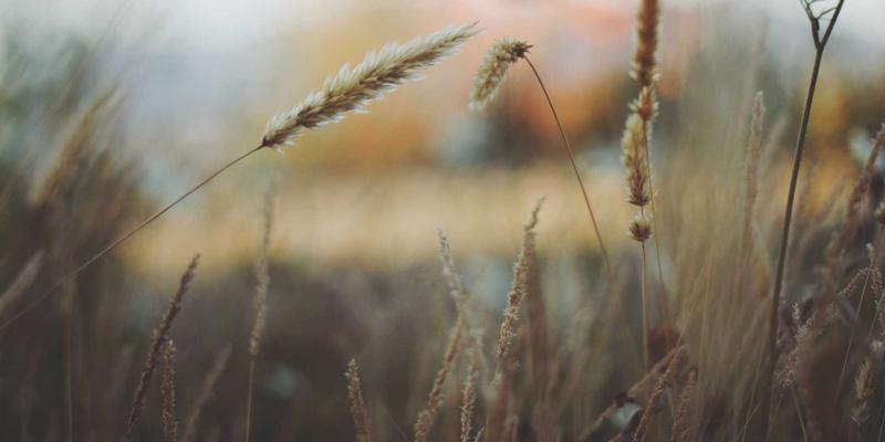 赛博朋克美学与灵感视觉：电影预告片如何用90秒引爆观众期待与票房潜力